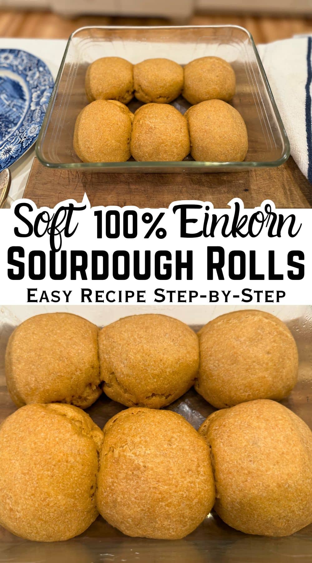 100% Einkorn sourdough rolls in baking pan with text
