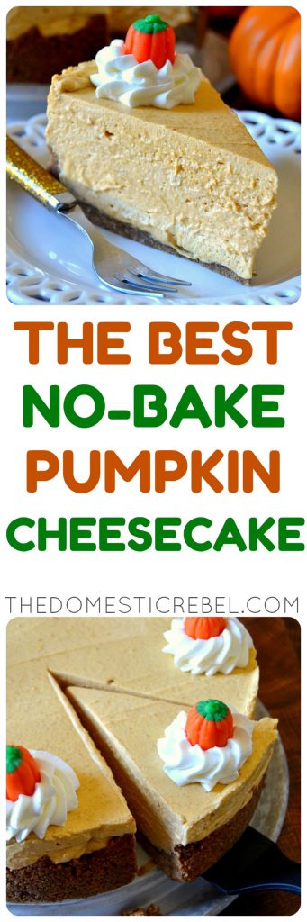 Best Ever No-Bake Pumpkin Cheesecake photo collage