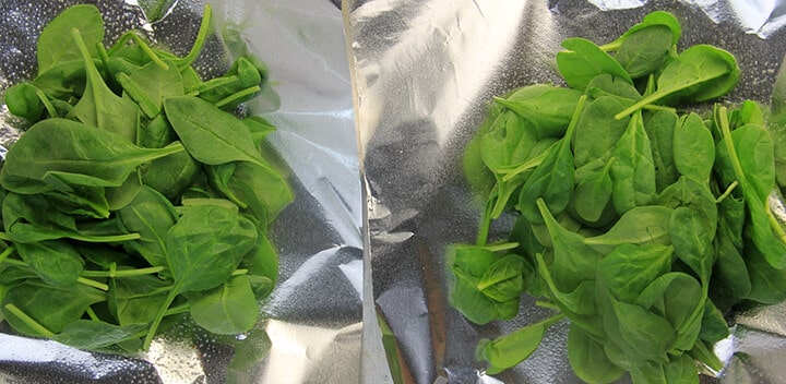 Spinach on top of foil to make packets for baked fish.