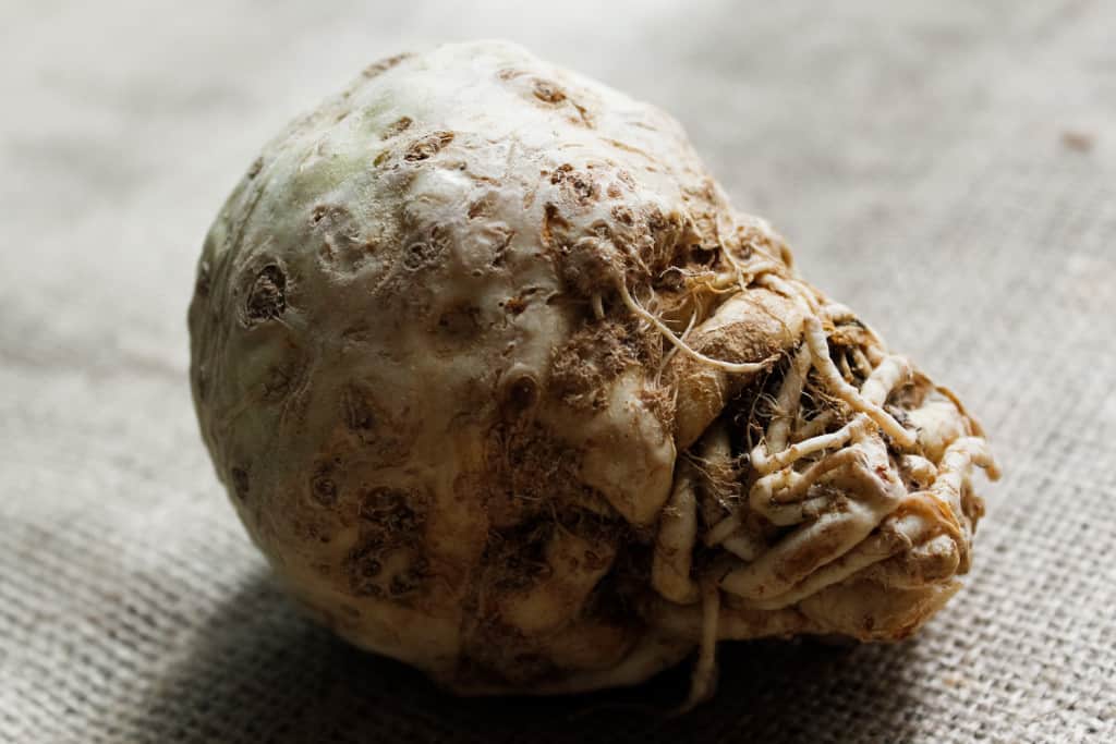 Studded with dried cranberries and pepitas & covered in a beautiful, tangy sauce, these endive spears with celery root remoulade are a great GF appetizer. Gluten-free, paleo, vegan option.