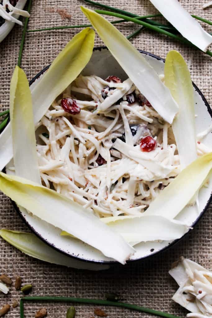 Studded with dried cranberries and pepitas & covered in a beautiful, tangy sauce, these endive spears with celery root remoulade are a great GF appetizer. Gluten-free, paleo, vegan option.
