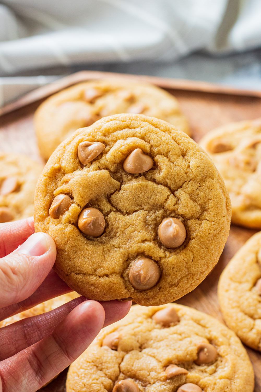 hand holding a baked butterscotch chip cookie