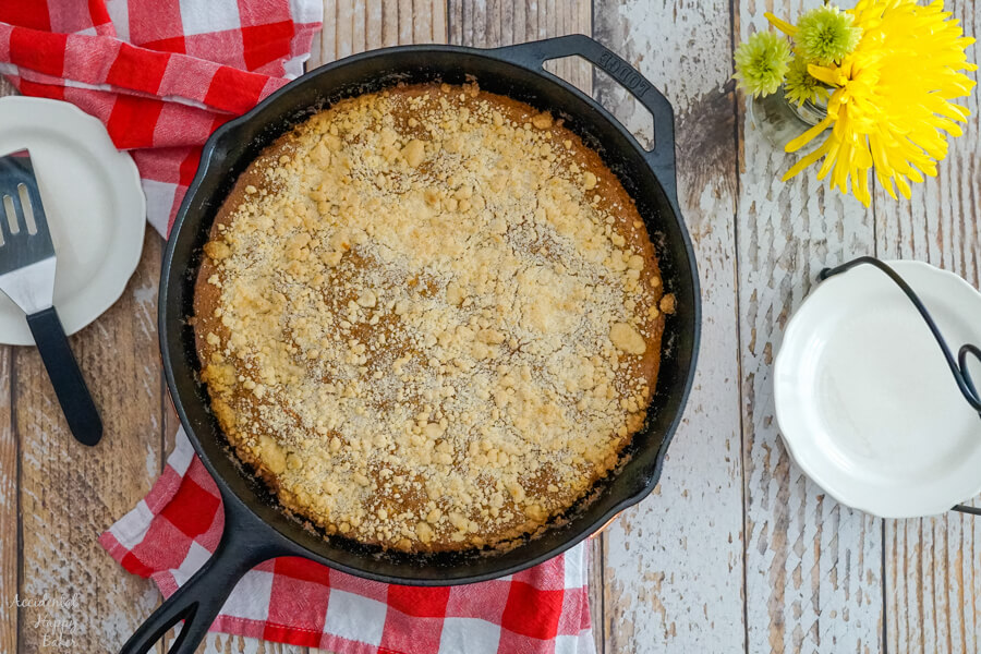 A fresh baked Molasses Skillet Cake in a cast iron skillet on top of a checked red towel. 