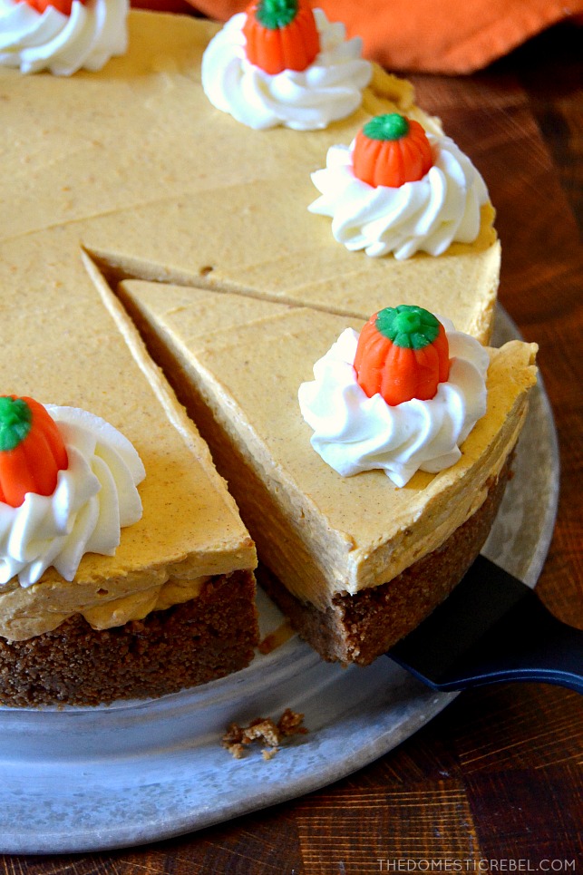 Pumpkin cheesecake slice on a spatula