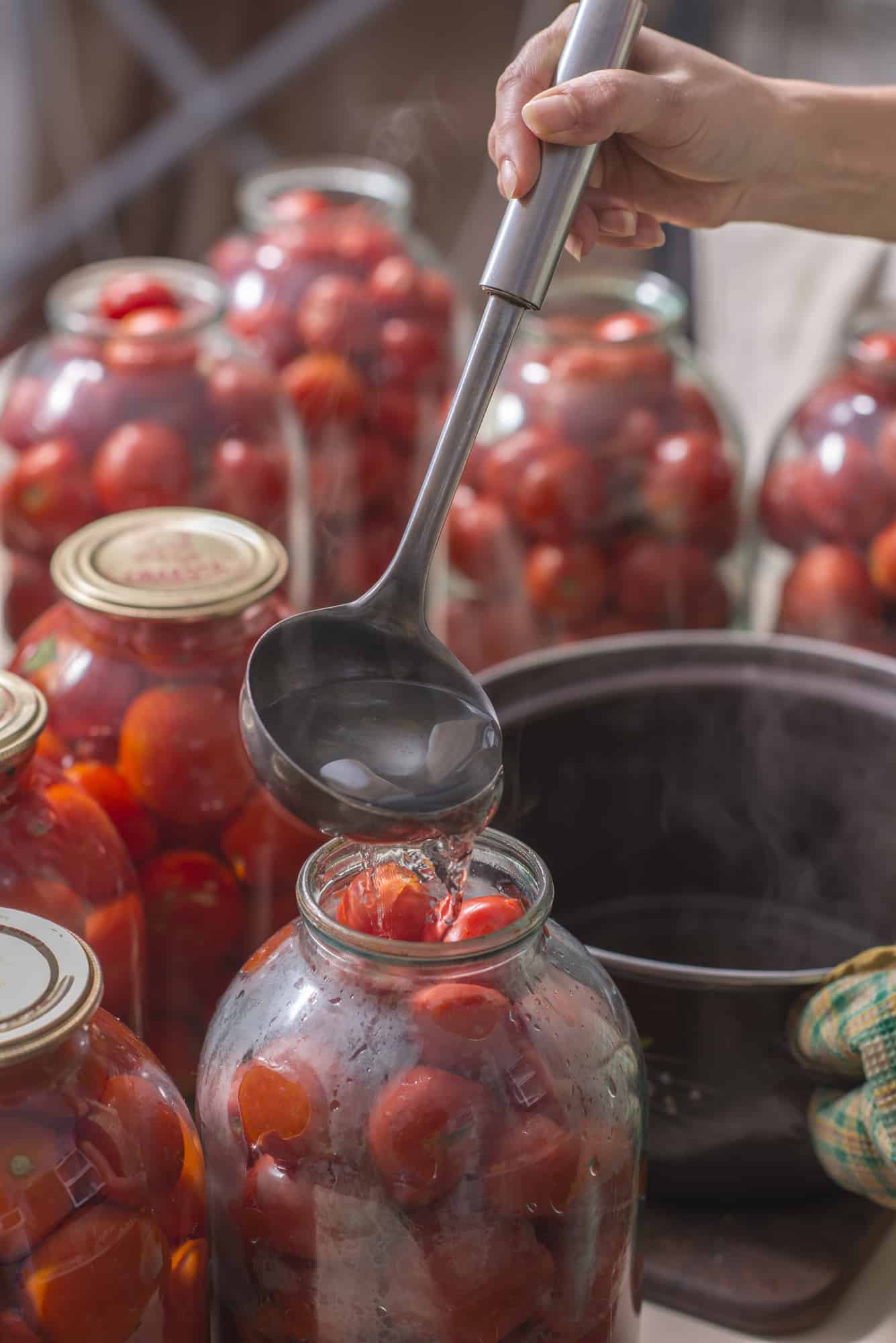 process of home canning ripe tomatoes in the cans.