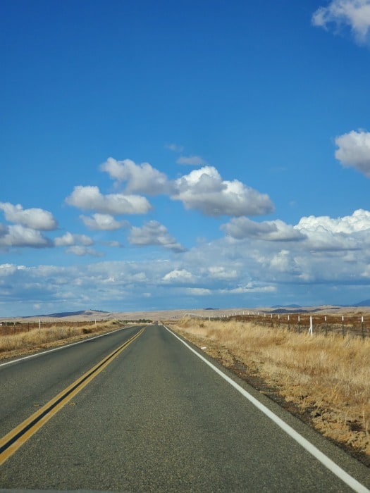 gorgeous blue sky and fluffy cloud day with a road leading through brush land