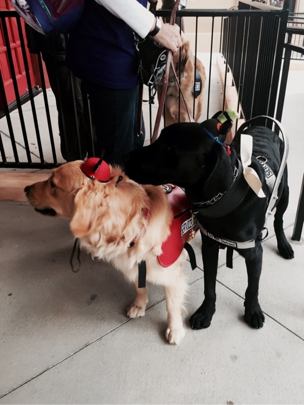 Food Blog Forum Orlando 2015 The Little Kitchen