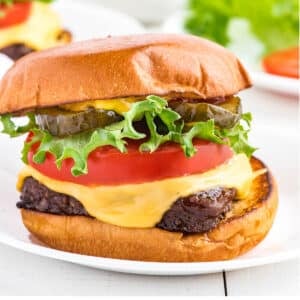 Air fryer frozen burger on a bun with toppings served on a white plate.