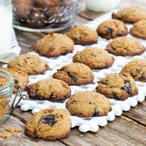 Gluten Free Sugar Free Brown Sugar Chocolate Chip Cookies