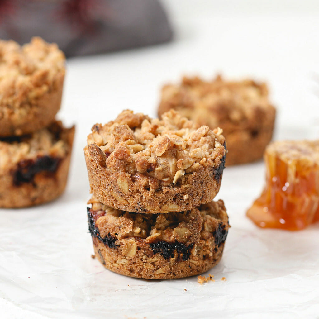 gluten and dairy free plum jam oatmeal bars