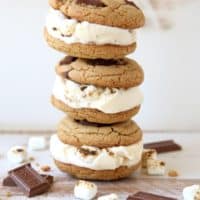S'mores Ice Cream Sandwiches | completelydelicious.com