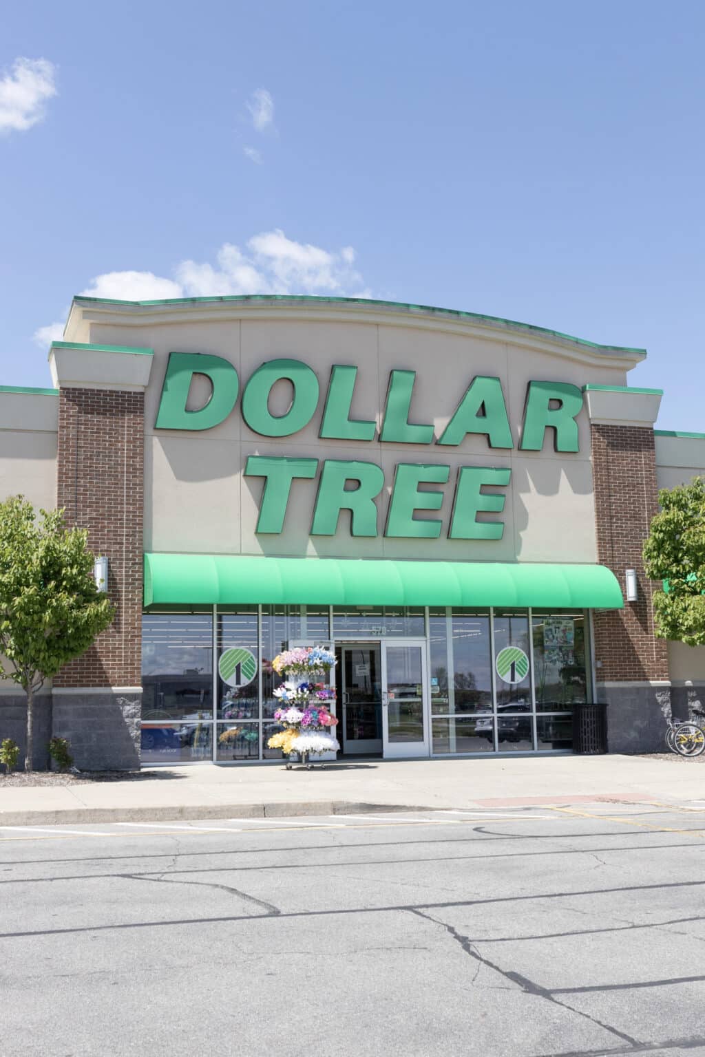 front of dollar tree store in spring