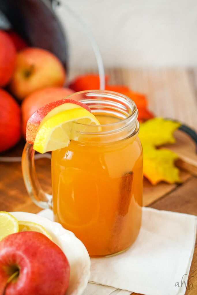 A glass of Lemonade Cider garnished with an apple slice, a lemon slice, and a cinnamon stick.