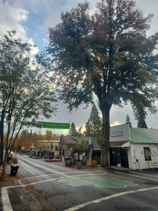 Murphys California with a shamrock in the middle of the road
