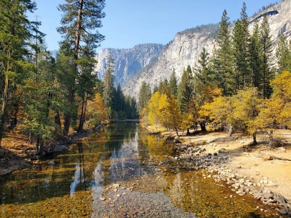 River running through fall leaves and granite cliffs on either side in Yosemite 