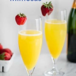 Mimosa Recipe with Sparkling Wine and Orange Juice | BestRecipeBox.com