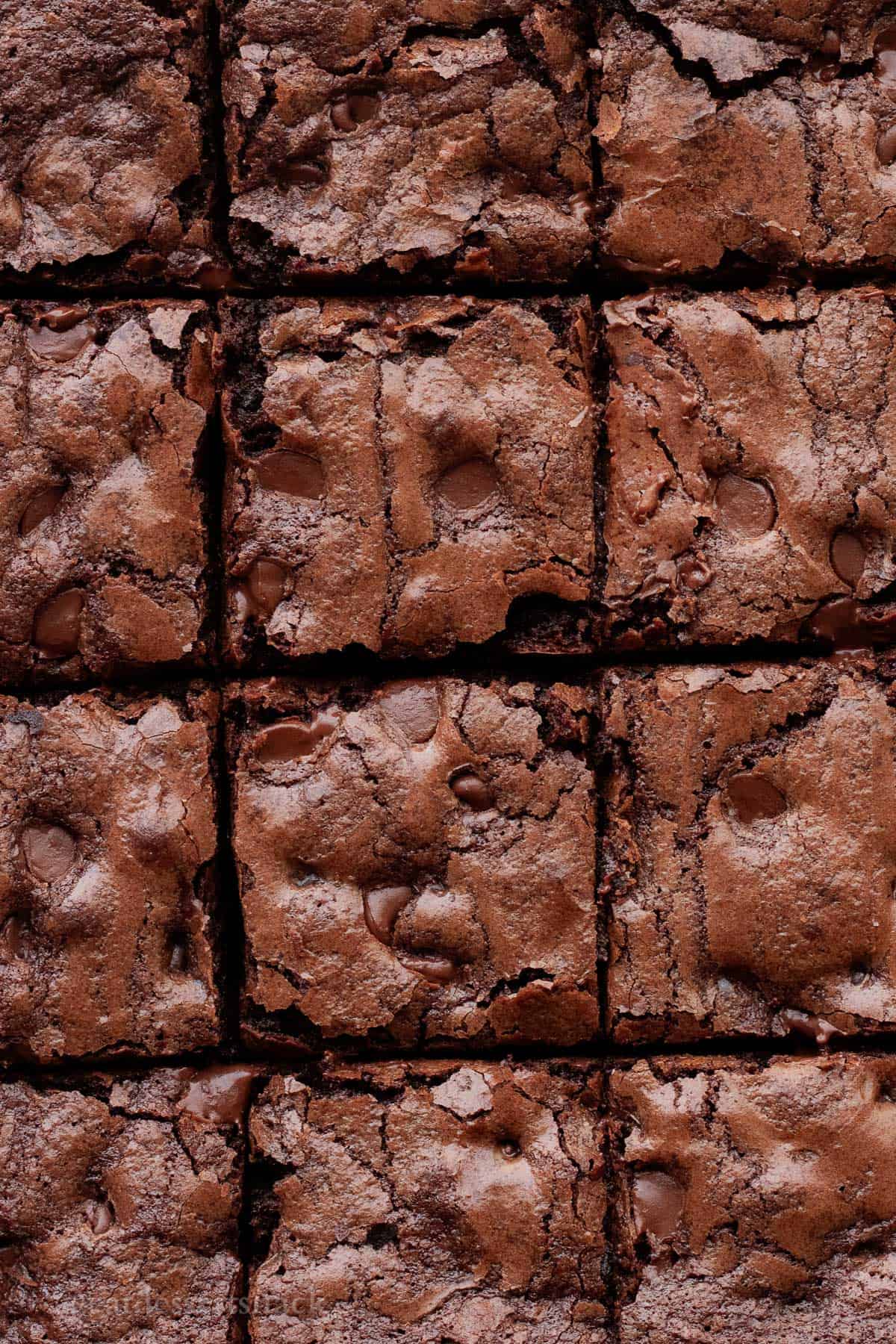 Baked sourdough discard brownies sliced into squares.