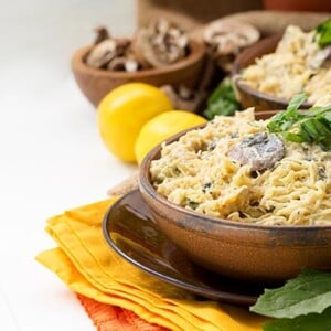 Spaghetti Squash Pasta with Artichoke Hearts and Mushrooms