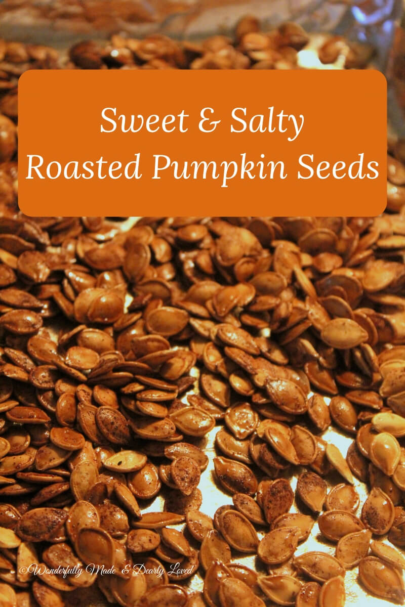 Sweet & Salty Roasted Pumpkin Seeds (THM, Low Carb)