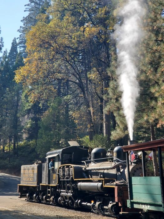 Yosemite sugar pine railroad engine with steam blowing out of it