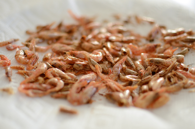 Toasted baby shrimp on a paper towel.