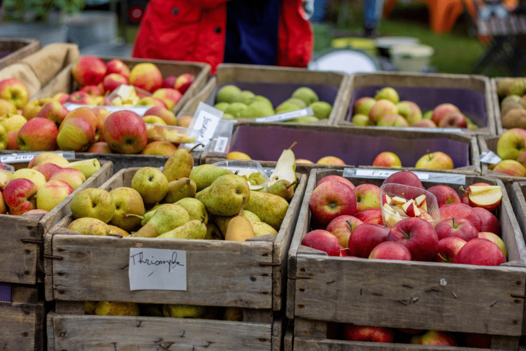 apples for cobbler