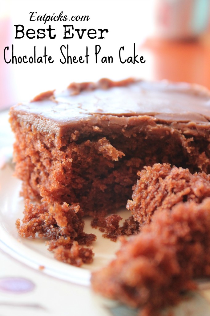 best ever chocolate sheet pan cake 