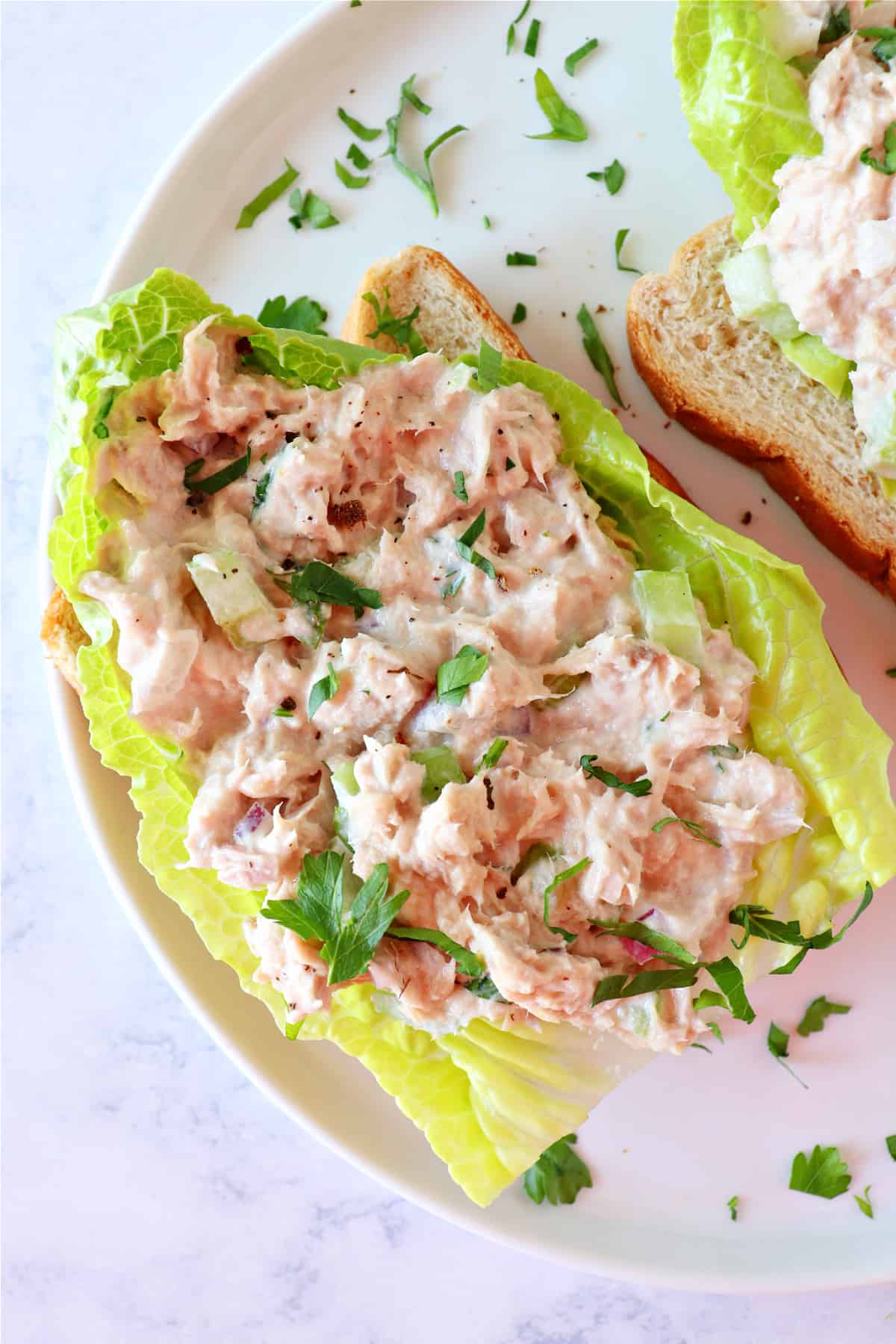 Tuna salad on lettuce and bread.
