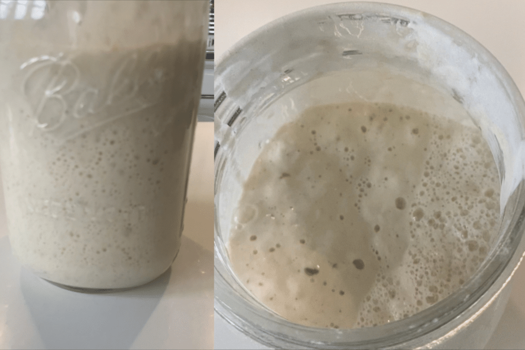 bubbly sourdough starter