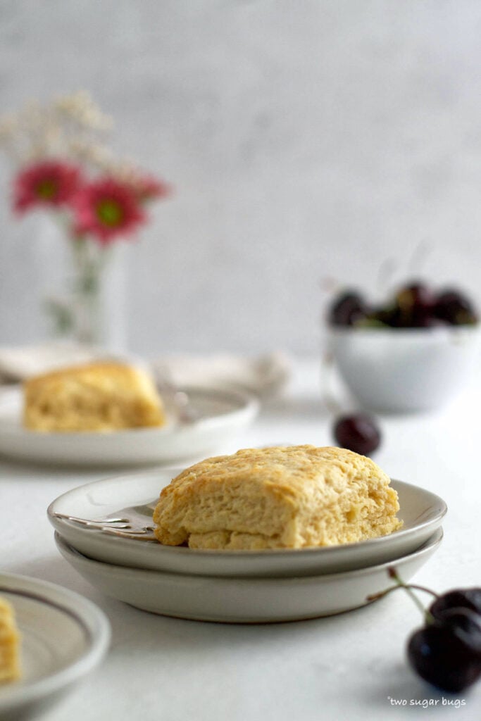 single vanilla biscuit on a plate with a bowl of cherries in the background