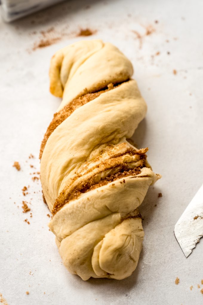 A loaf of cinnamon babka on a surface before rising.