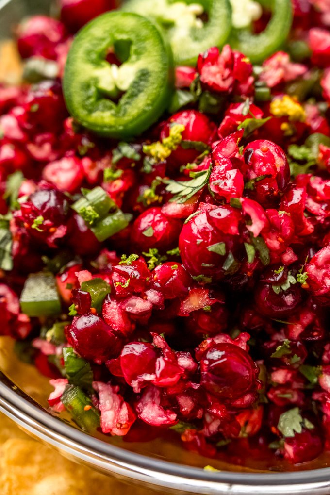 A bowl of cranberry salsa.