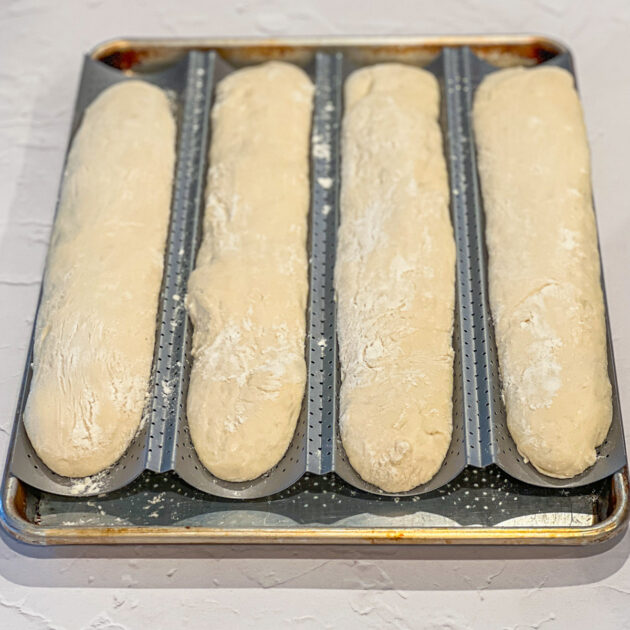 raised but uncooked loaves of no knoead baguette bread