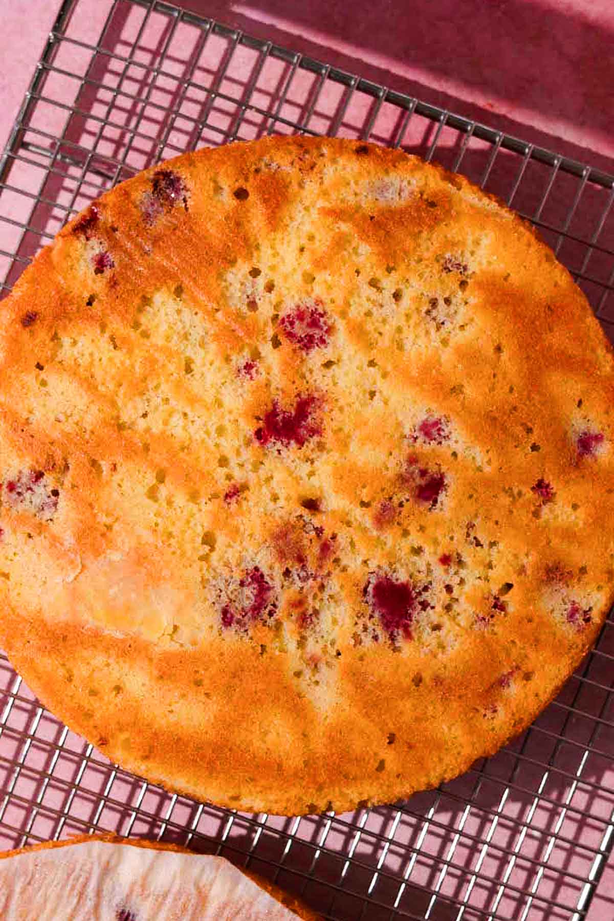 baked cake layer cooling on metal cooling rack