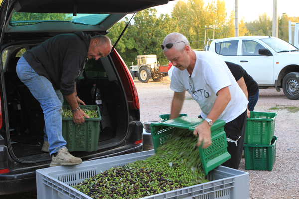 harvest2-emptyingcases