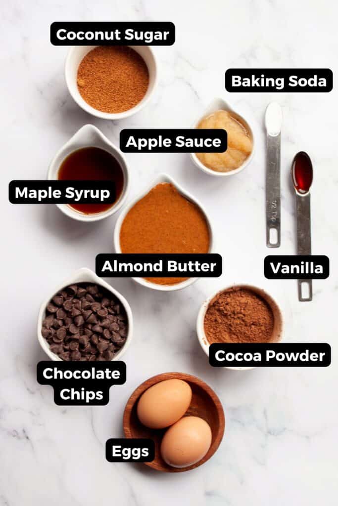 all ingredients in flourless brownies: coconut sugar, maple syrup, baking soda, apple sauce, vanilla, cocoa powder, eggs, almond butter