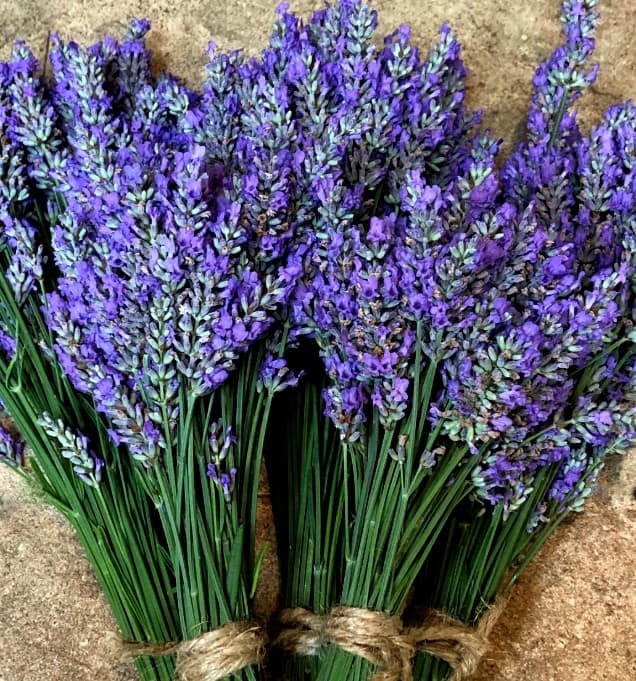 lavender bunches for drying
