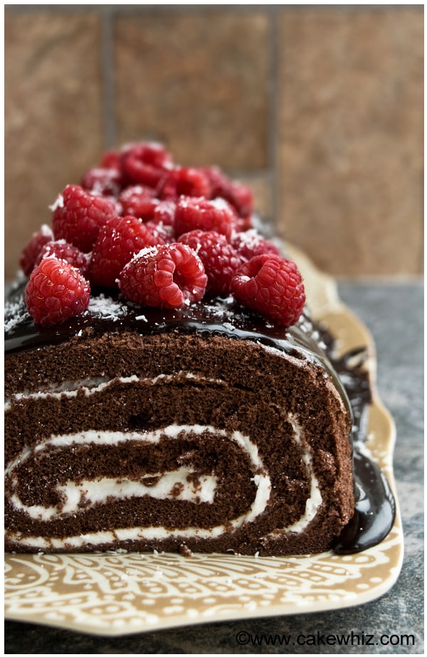 Closeup Shot of Chocolate Swiss Roll cake on Brown Tray on Rustic Background