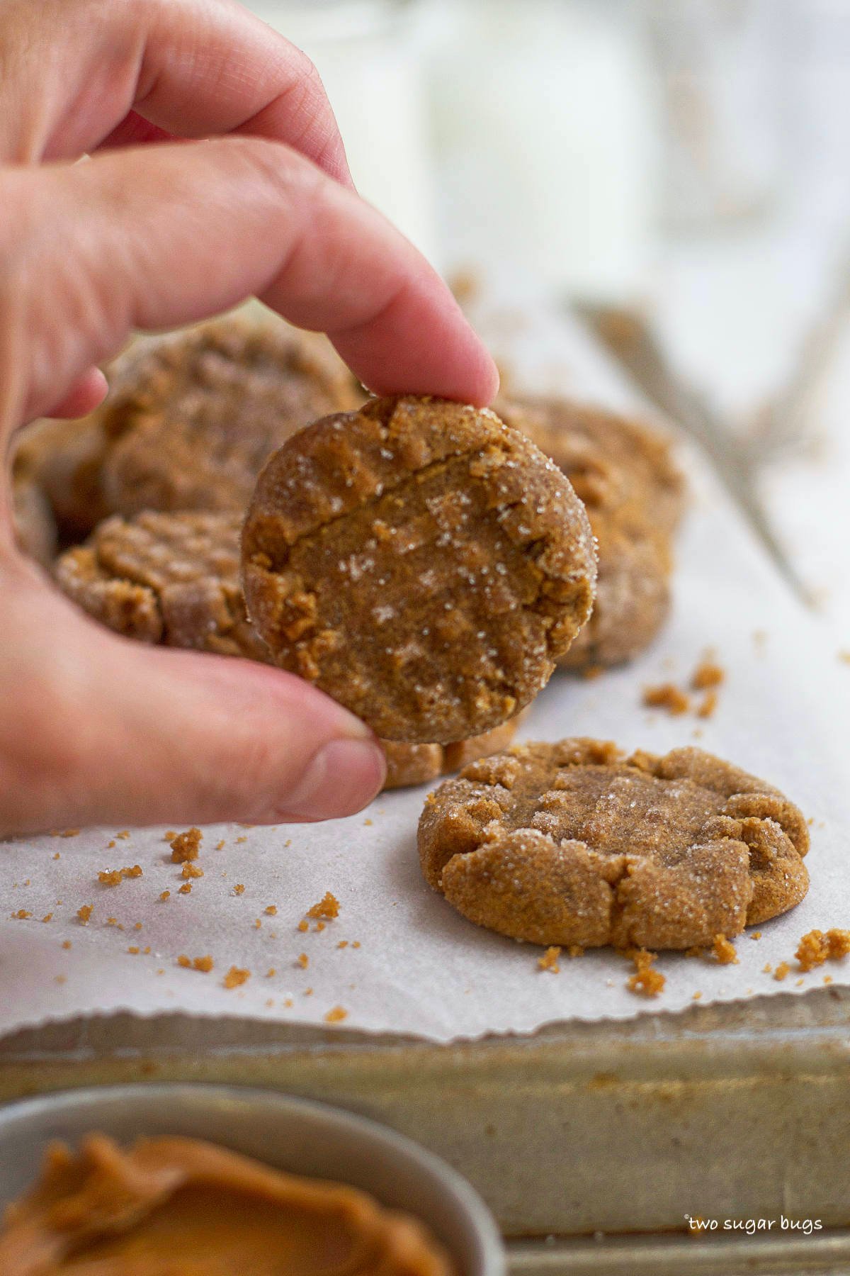 hand holding a cookie