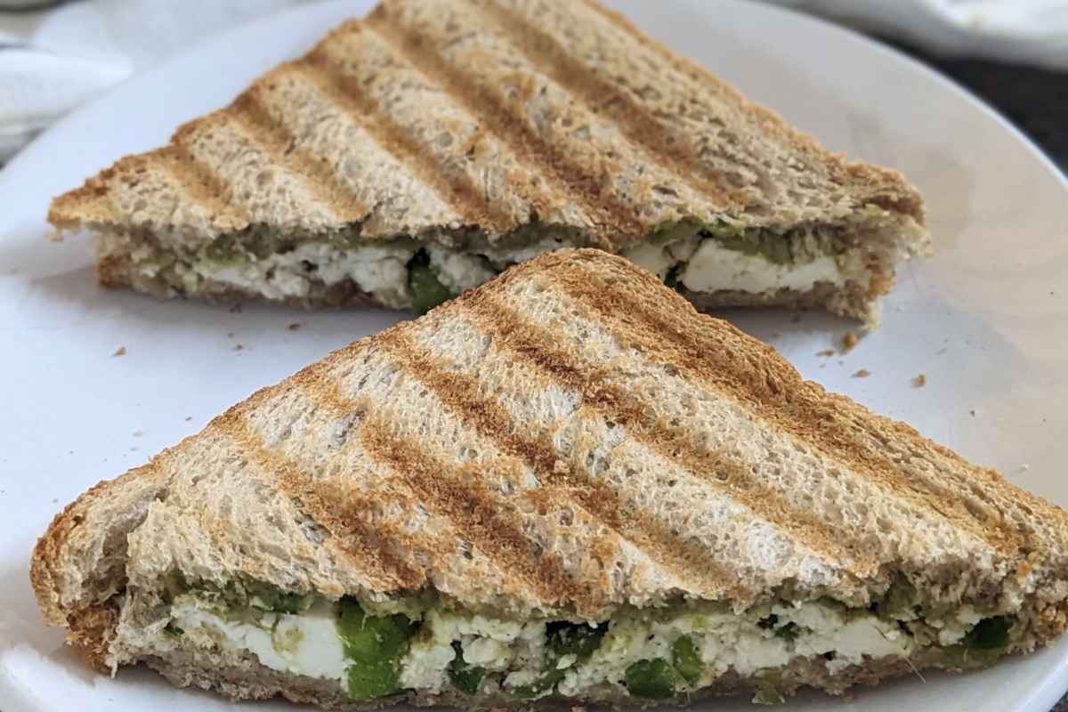 Tasty paneer sandwich on a plate