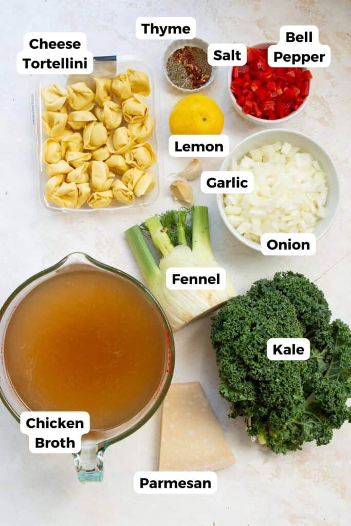 all ingredients in this tortellini soup in small bowls with labels