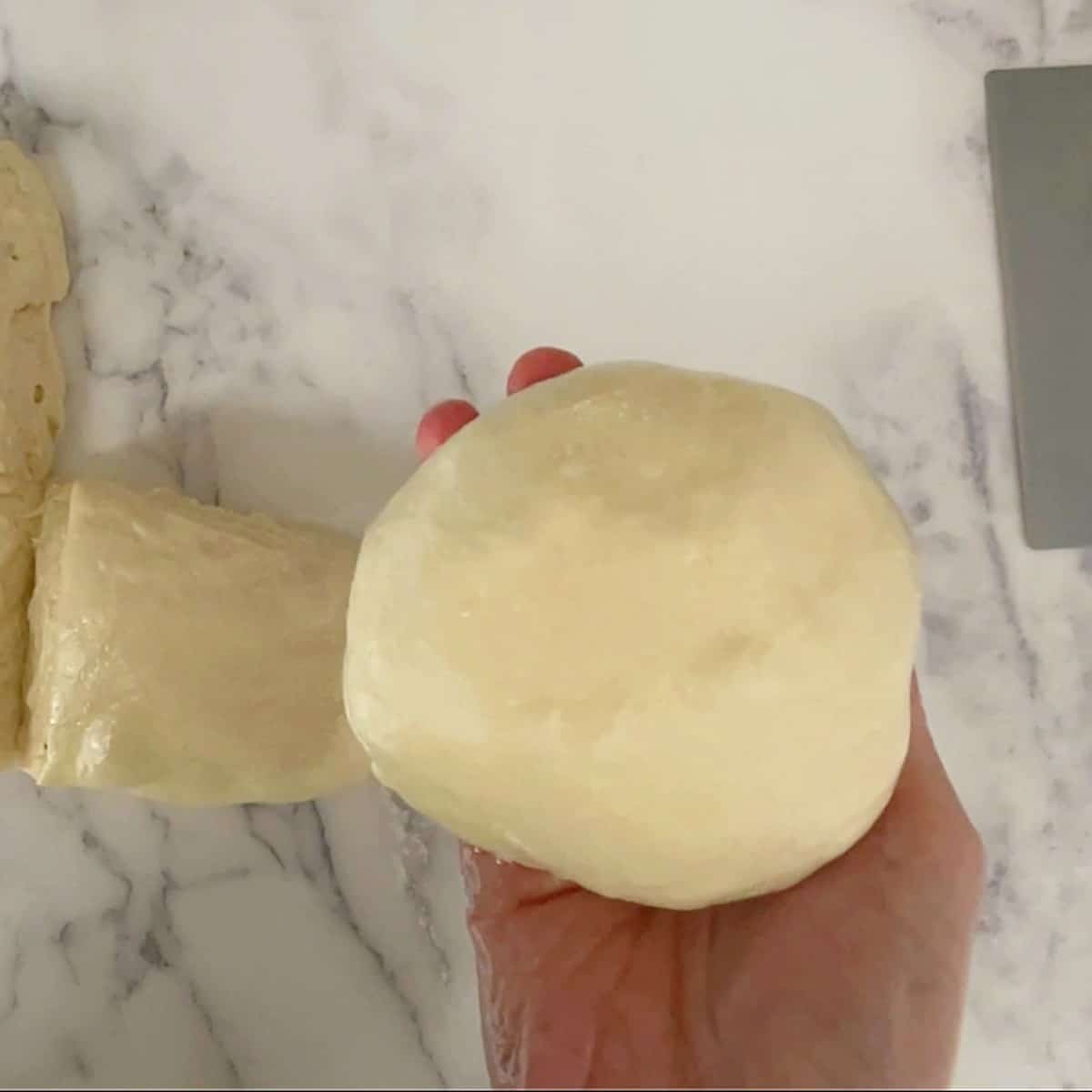 poolish pizza dough round.
