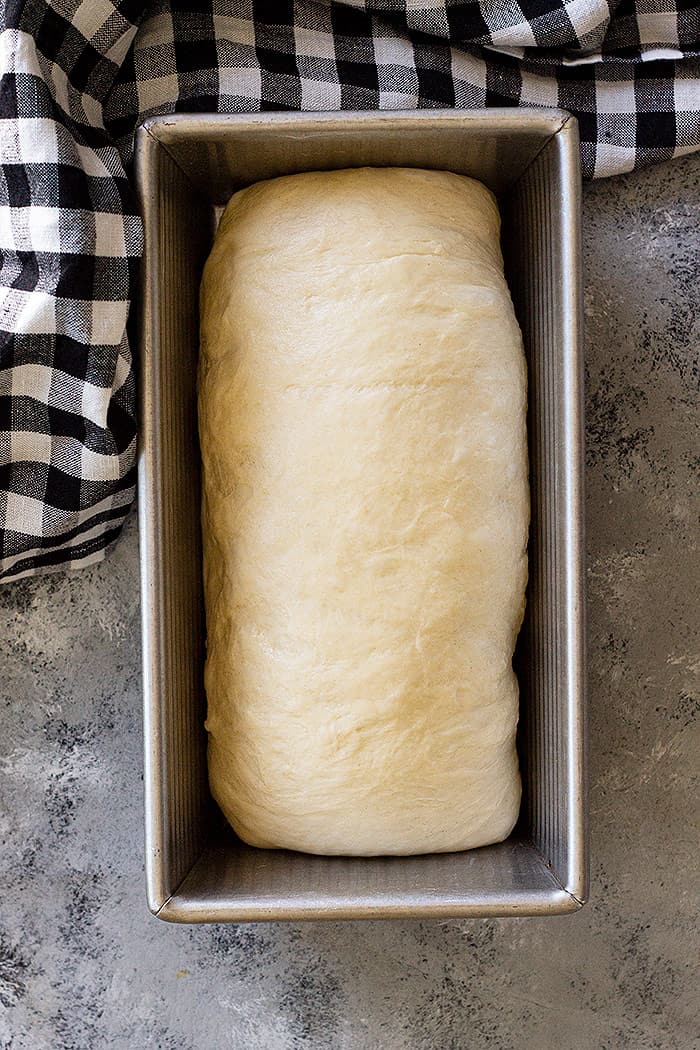 Dough in a bread pan rising for a second time. 