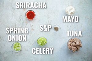 overhead shot of spicy tuna ingredients with text labels