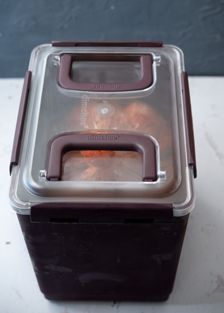 Kimchi container for a long term storage.