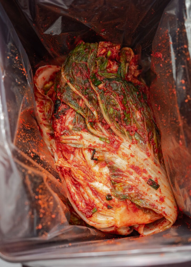 Whole cabbage kimchi placed inside a container.
